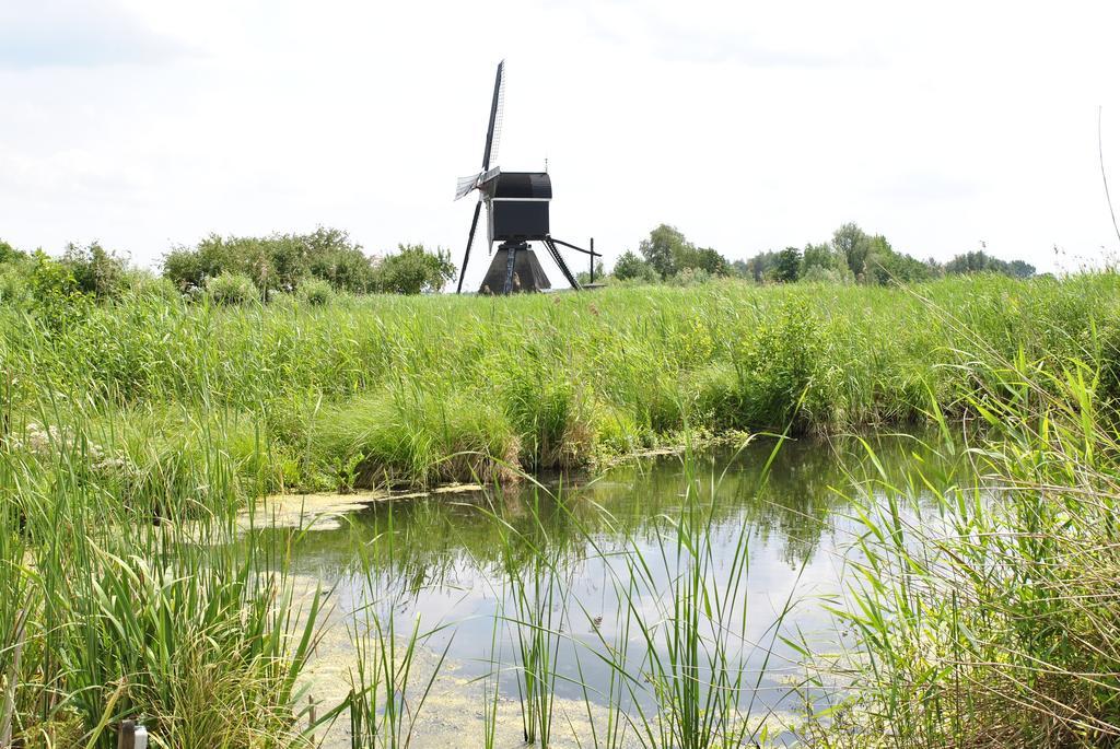 Camping De Grienduil Nieuwland  Exterior foto